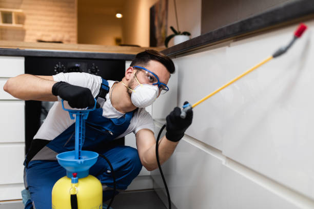Trusted Castalia, OH Pest Control Experts