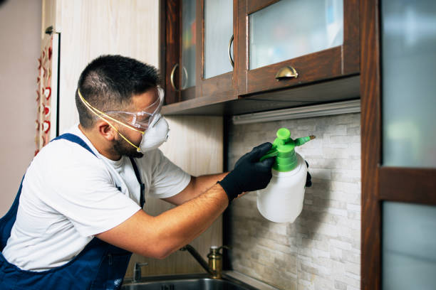 Best Wildlife Control Services  in Castalia, OH
