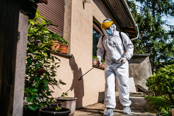 Best Rat Extermination Near Me  in Castalia, OH
