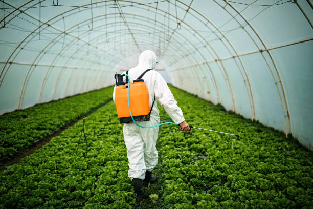 Best Mosquito Control Services  in Castalia, OH