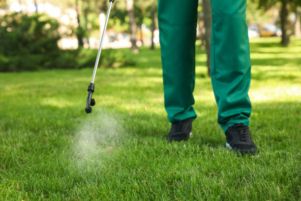Best Termite Control Services  in Castalia, OH