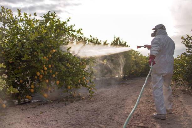 Best Bed Bug Extermination  in Castalia, OH