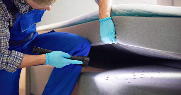 Best Flea Control Services  in Castalia, OH