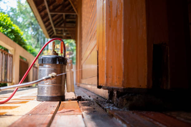 Best Cockroach Control Services  in Castalia, OH