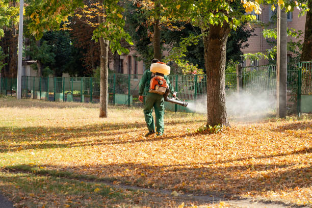 Best Emergency Pest Control  in Castalia, OH