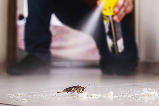 Best Exterminator Services  in Castalia, OH