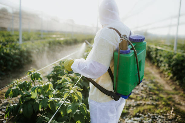 Best Best Pest Control Companies  in Castalia, OH